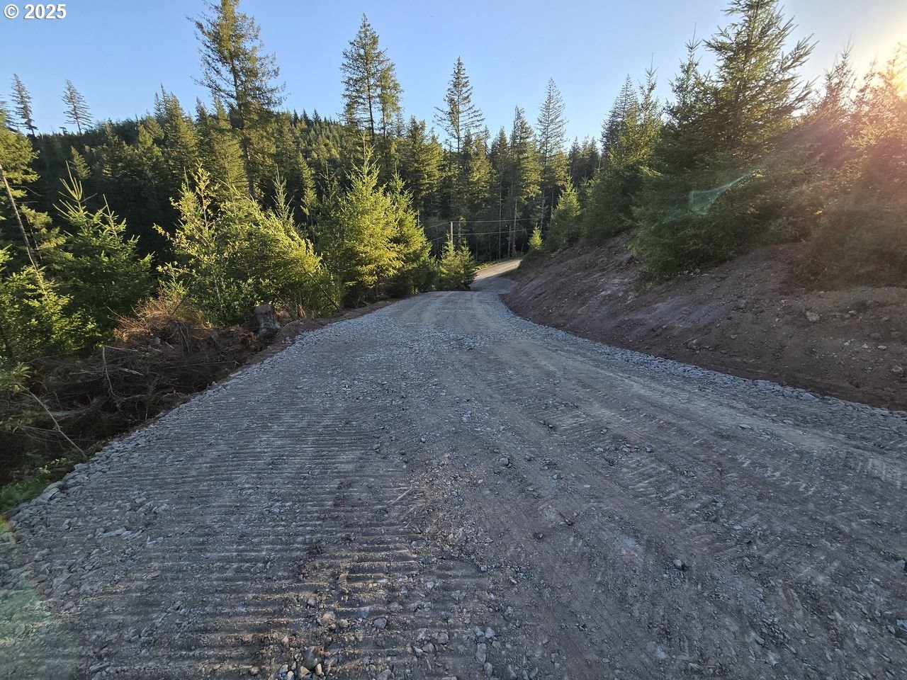 1051 Skamania Mines RD