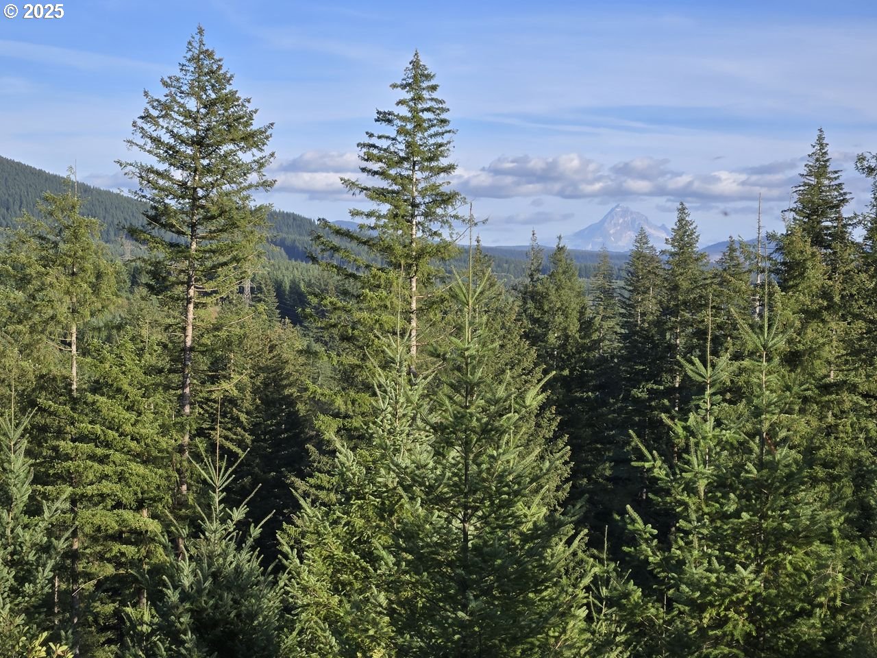 1051 Skamania Mines RD