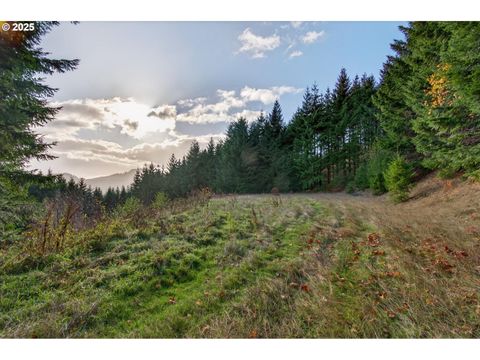 0 Knightsbridge RD Amboy WA 98601