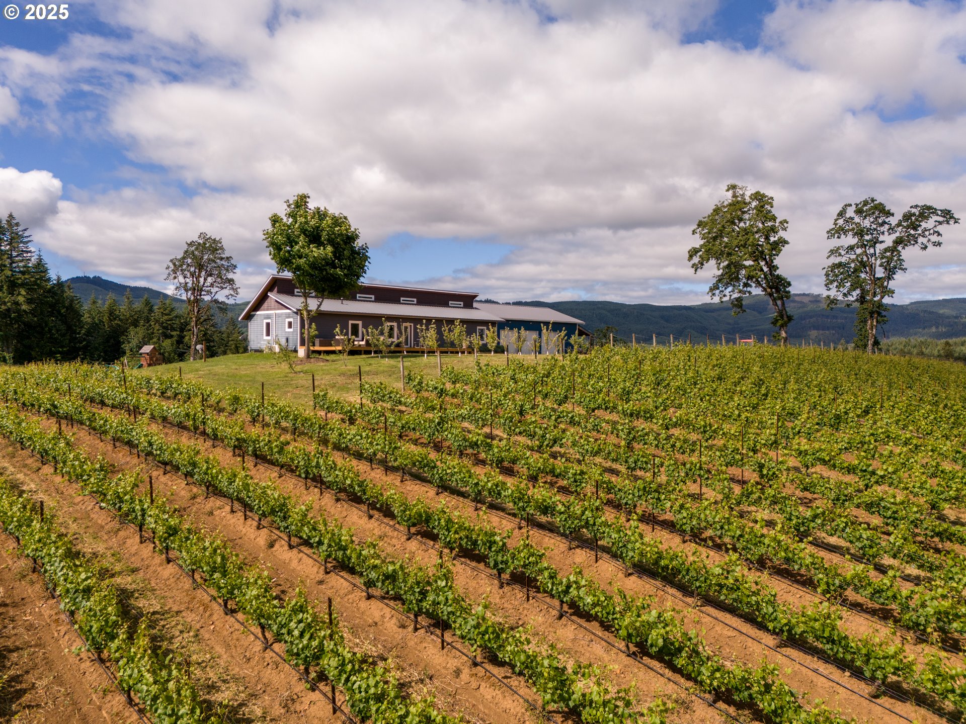 Carlton, Oregon 97111, United States, 3 Bedrooms Bedrooms, ,2 BathroomsBathrooms,Residential,Active,122552