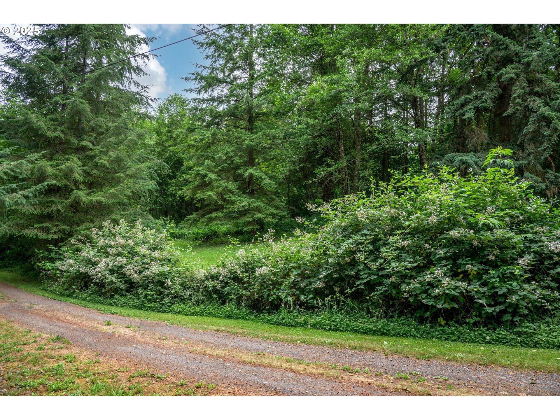 Rainier, Oregon 97048, United States, ,Land,Active,165171