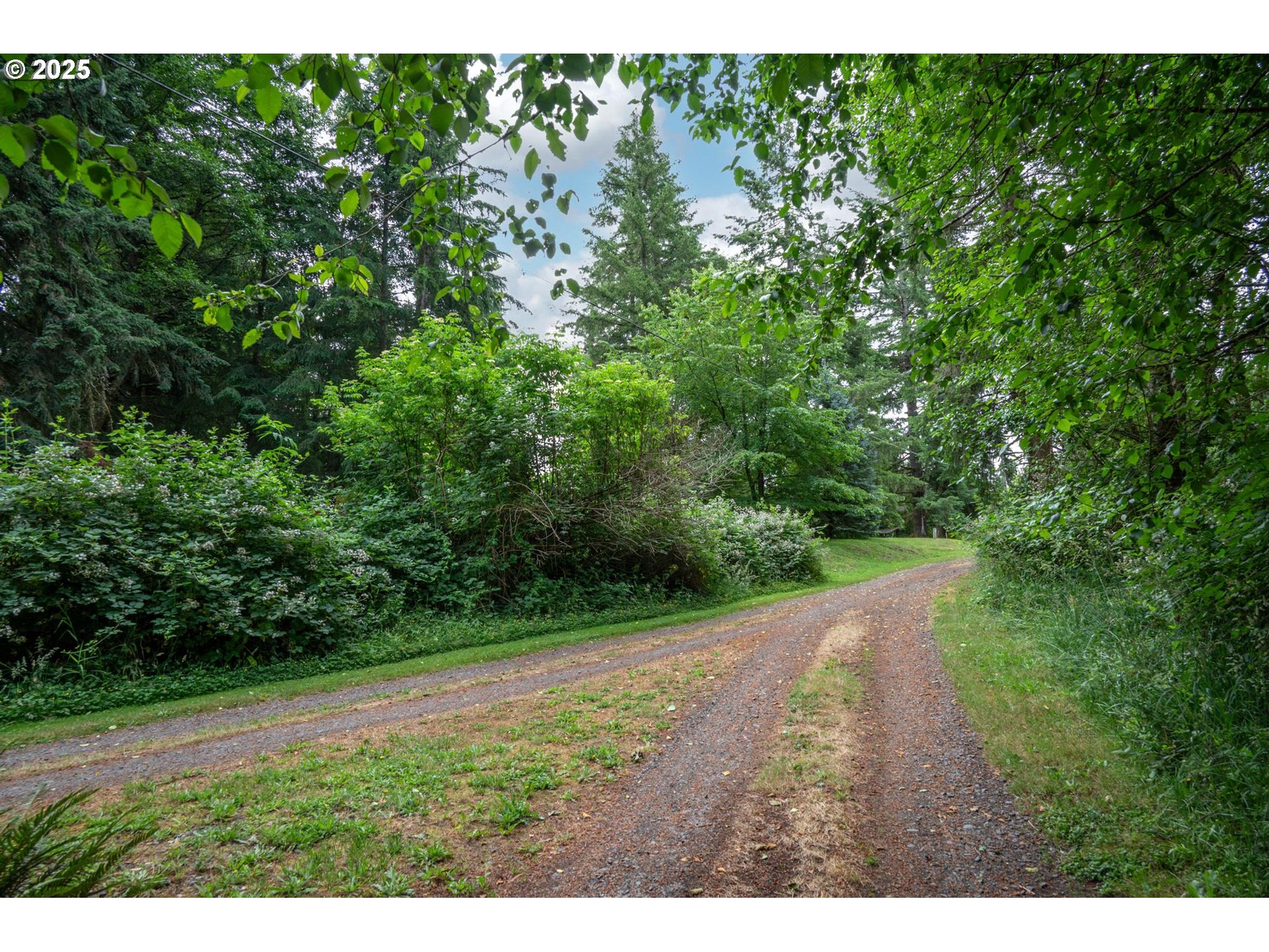 Rainier, Oregon 97048, United States, ,Land,Active,165171