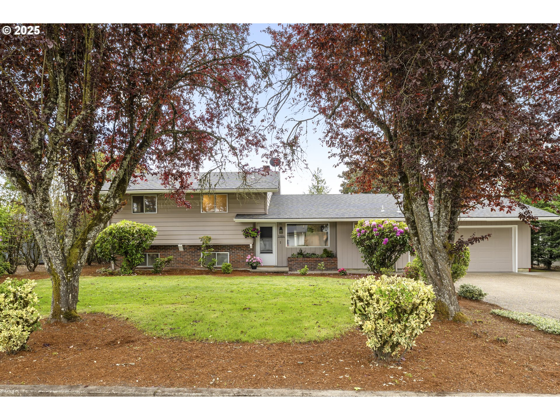 1806 LAUREL DR