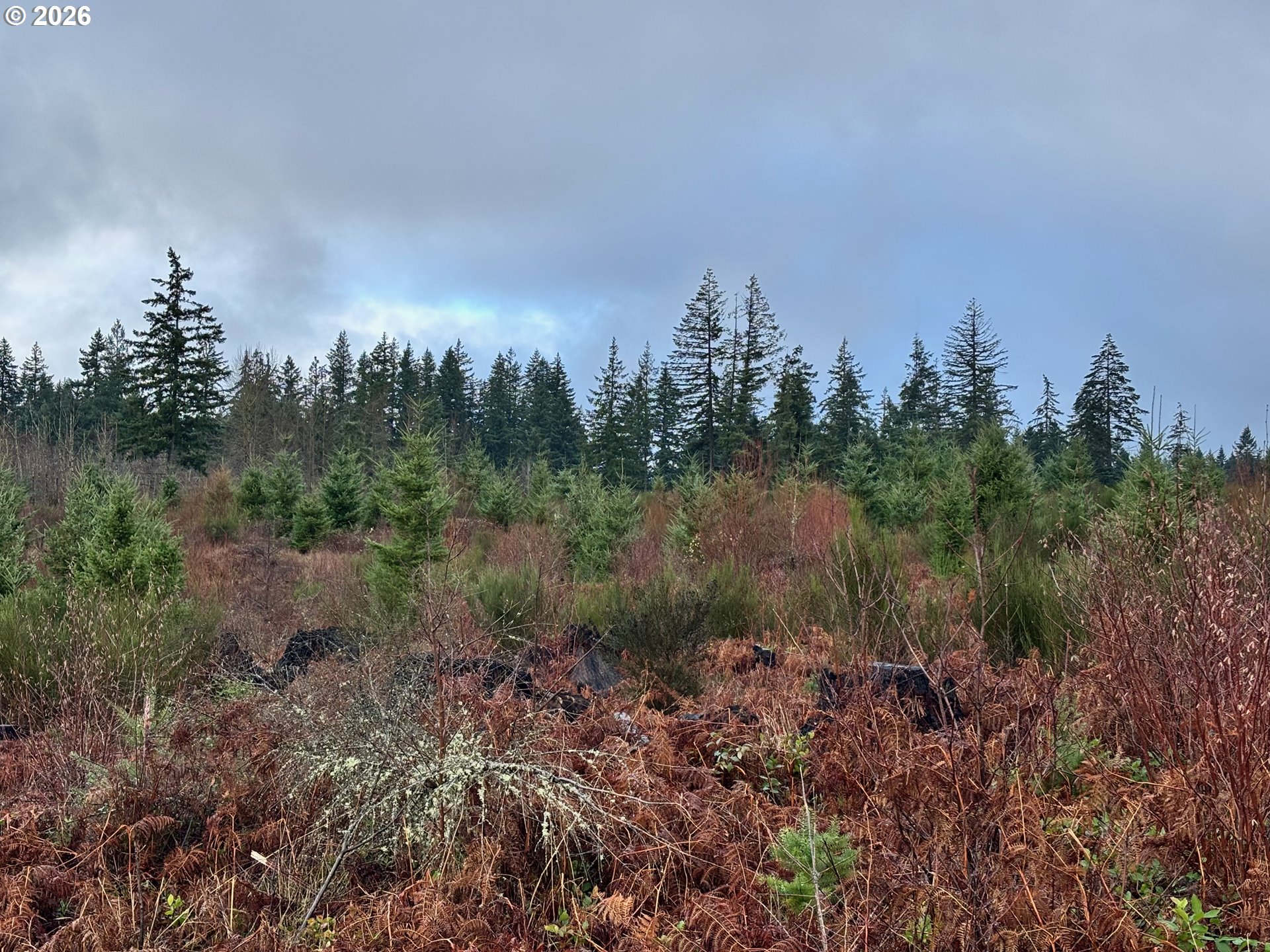 0 South Shibley Road