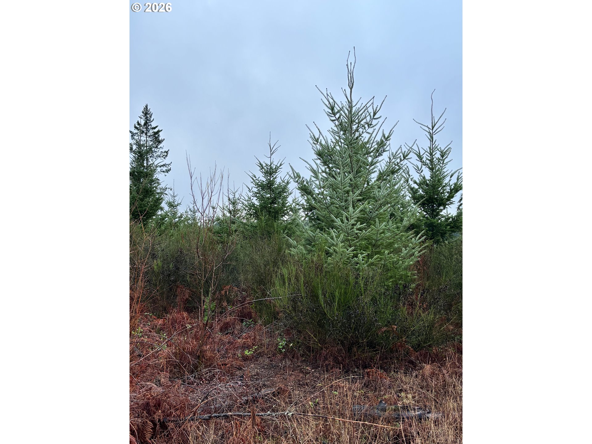 0 South Shibley Road