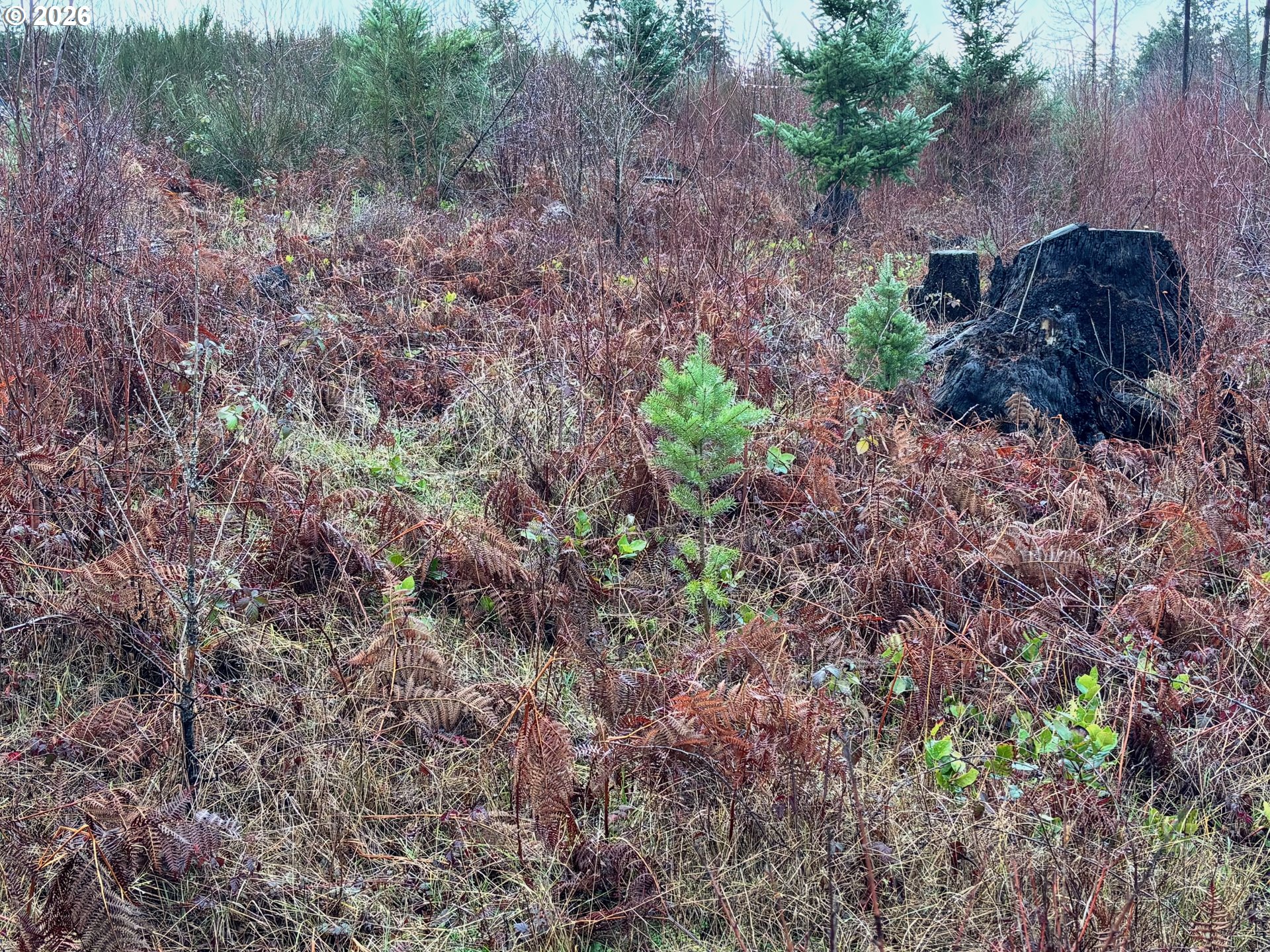 0 South Shibley Road