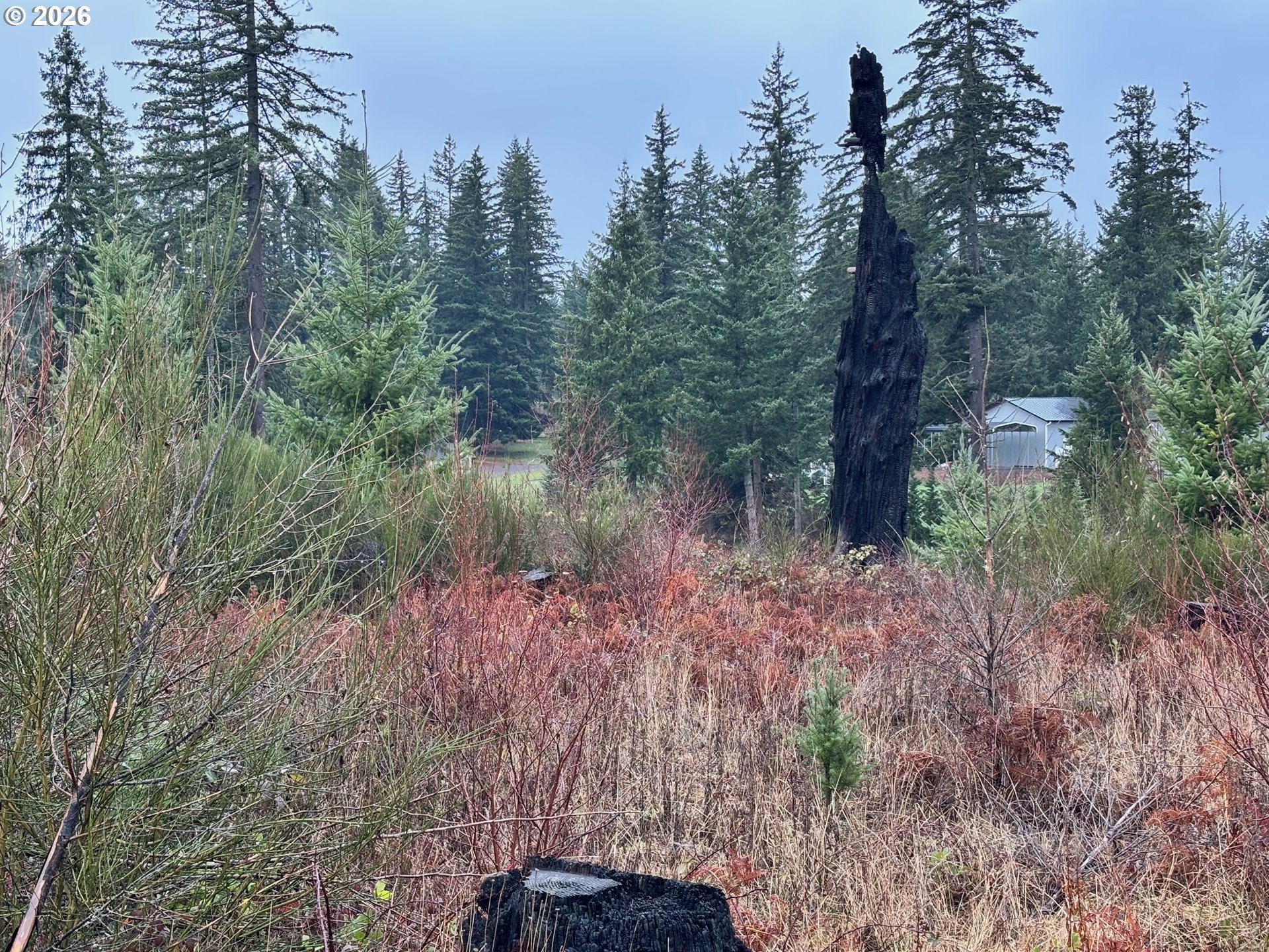 0 South Shibley Road