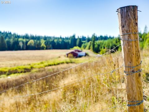 A home in Vernonia