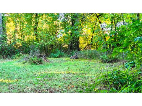Tiny photo for 82147 Lost Valley Ln, Dexter, OR 97431 (MLS # 409232615)
