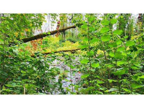Tiny photo for 82147 Lost Valley Ln, Dexter, OR 97431 (MLS # 409232615)