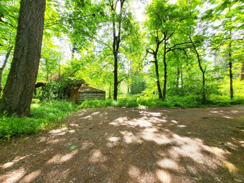Tiny photo for 82147 Lost Valley Ln, Dexter, OR 97431 (MLS # 409232615)