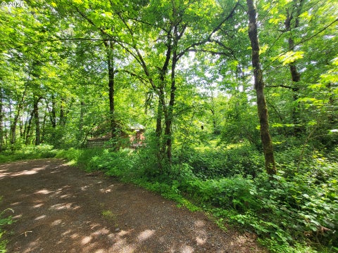 Tiny photo for 82147 Lost Valley Ln, Dexter, OR 97431 (MLS # 409232615)