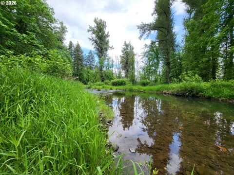 Tiny photo for 82147 Lost Valley Ln, Dexter, OR 97431 (MLS # 409232615)