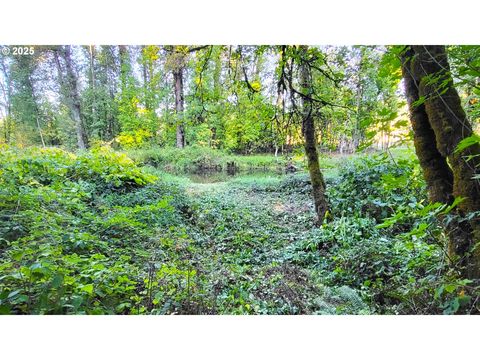 Tiny photo for 82147 Lost Valley Ln, Dexter, OR 97431 (MLS # 409232615)