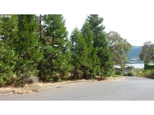 1039 SE OAK ST, WHITE SALMON, WA 98672 - Image 76a425985efd262a4b4e414042e8f727/1225711696