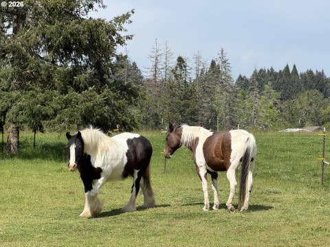 Tiny photo for 84115 N Enterprise Rd, Pleasant Hill, OR 97455 (MLS # 511986656)
