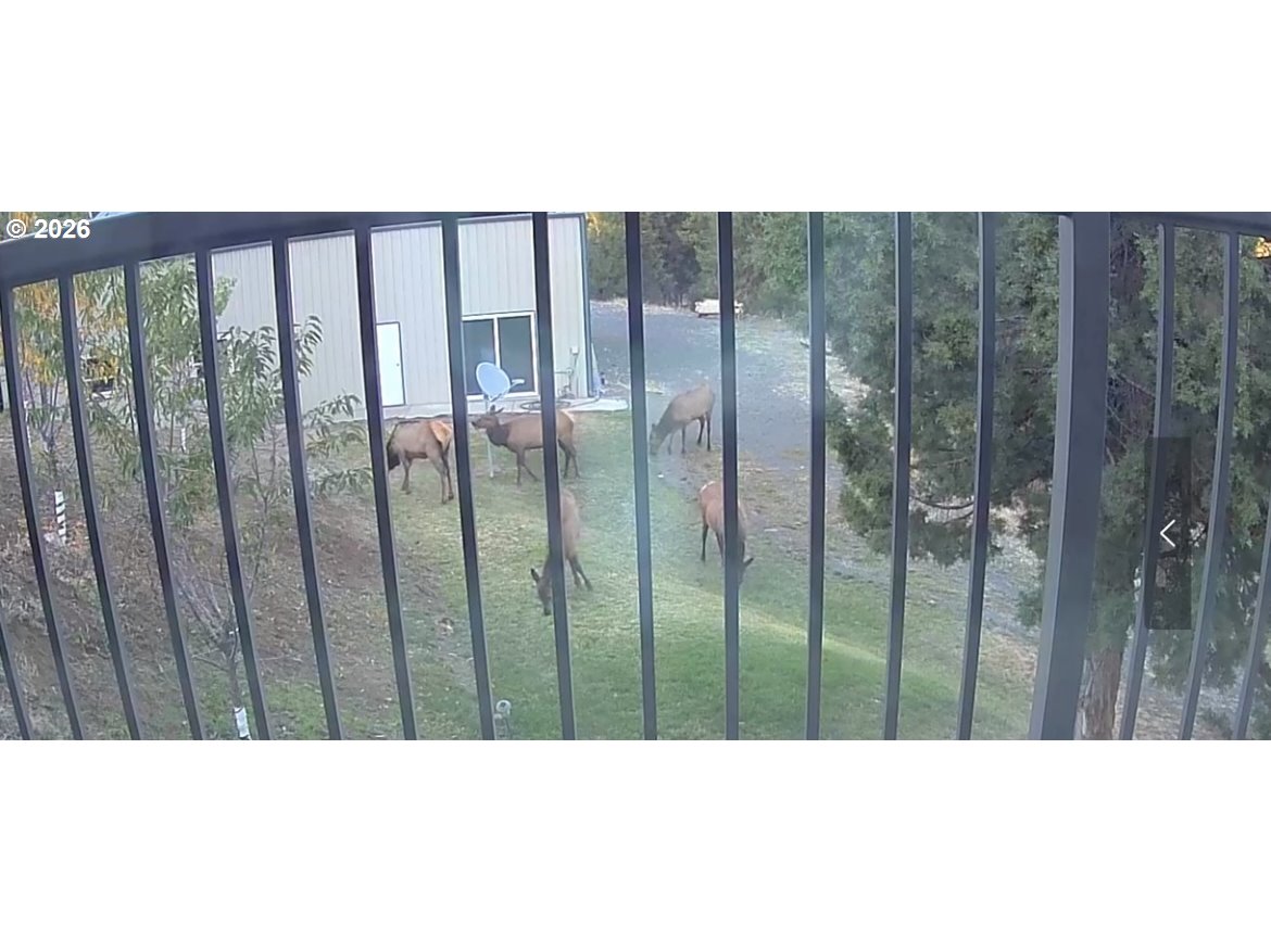 31367 CLARKS CREEK RD