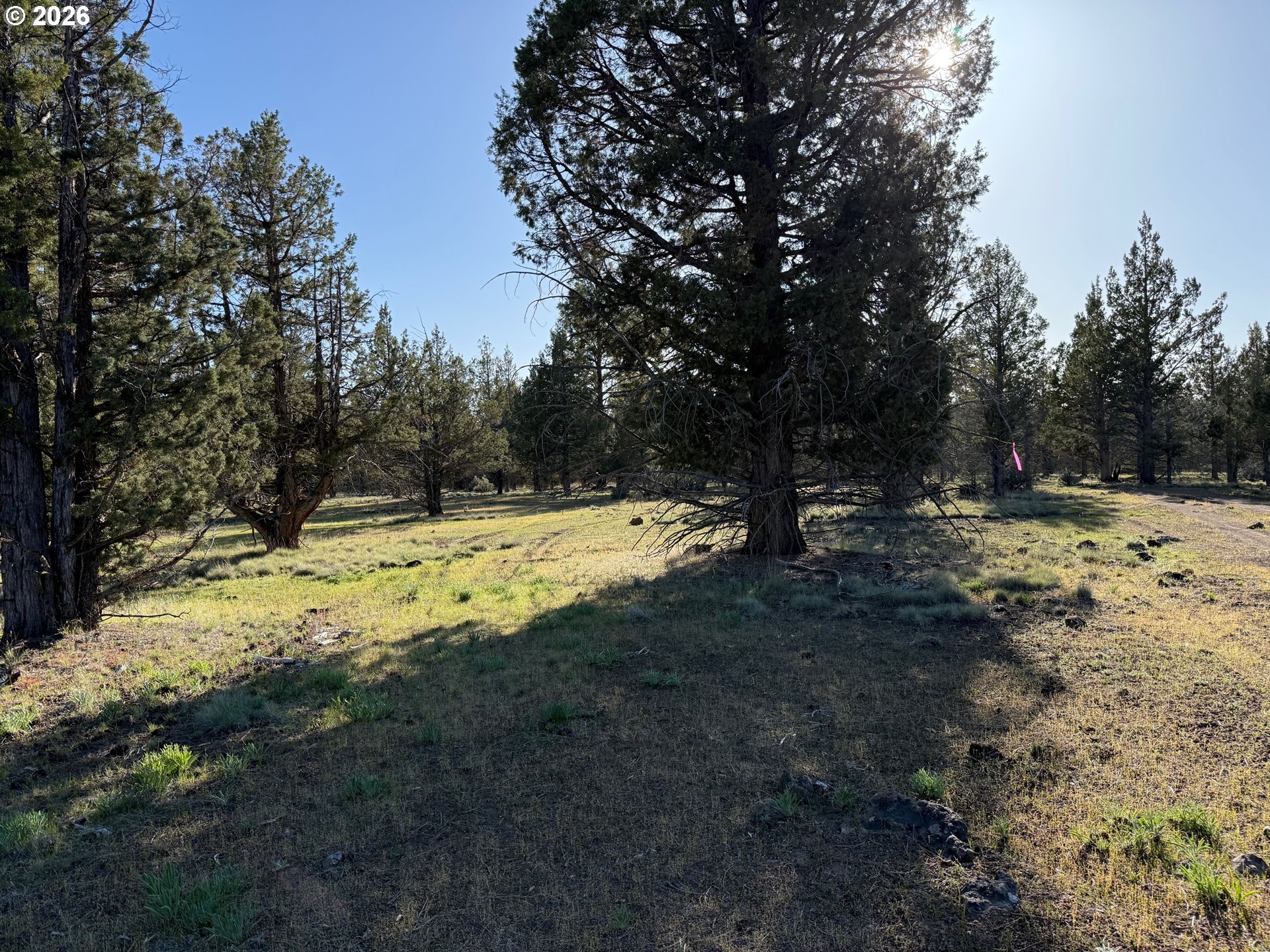 Picture for the property 366078381, 0 beds, 0 baths