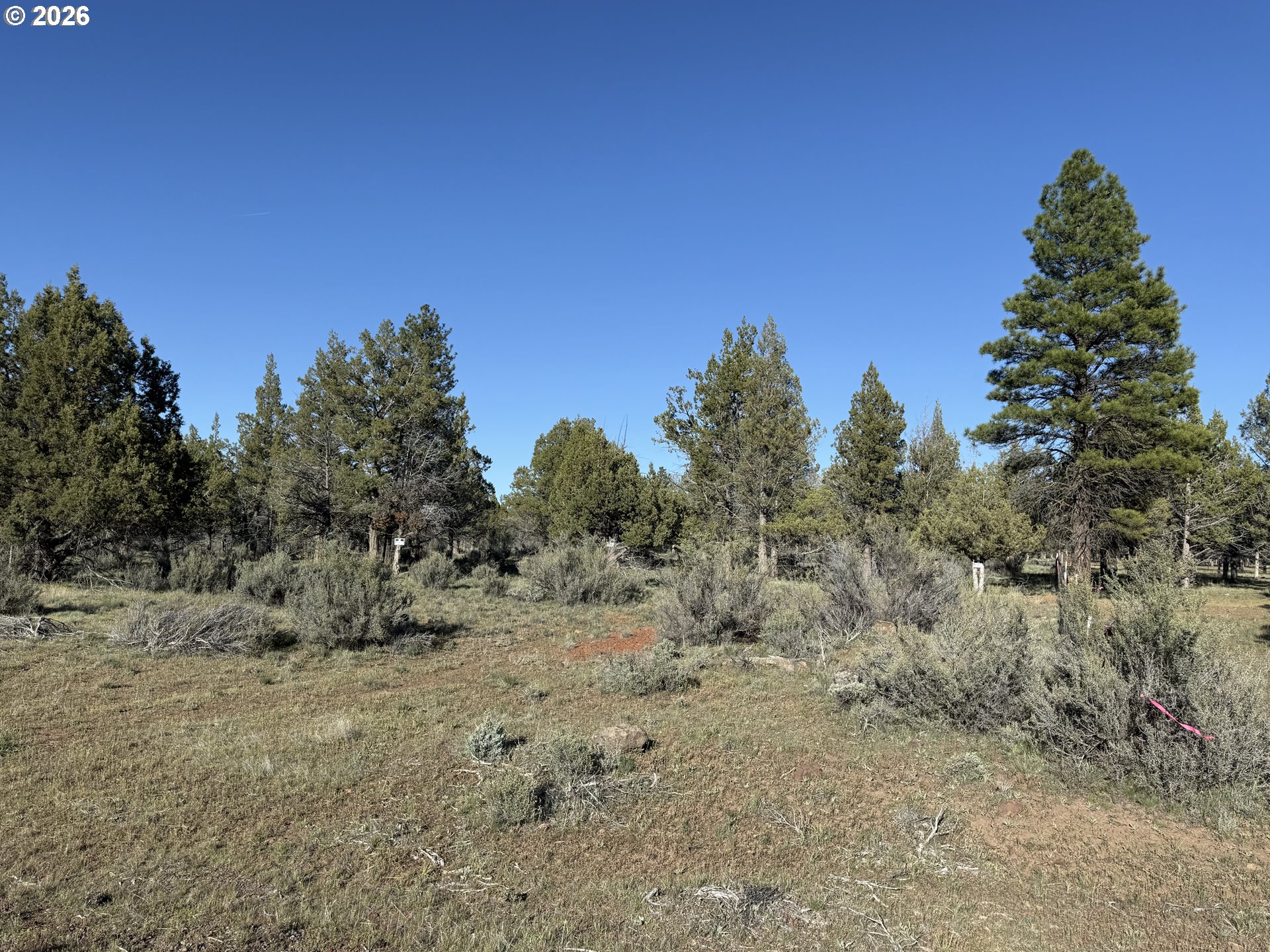 Picture for the property 366078381, 0 beds, 0 baths