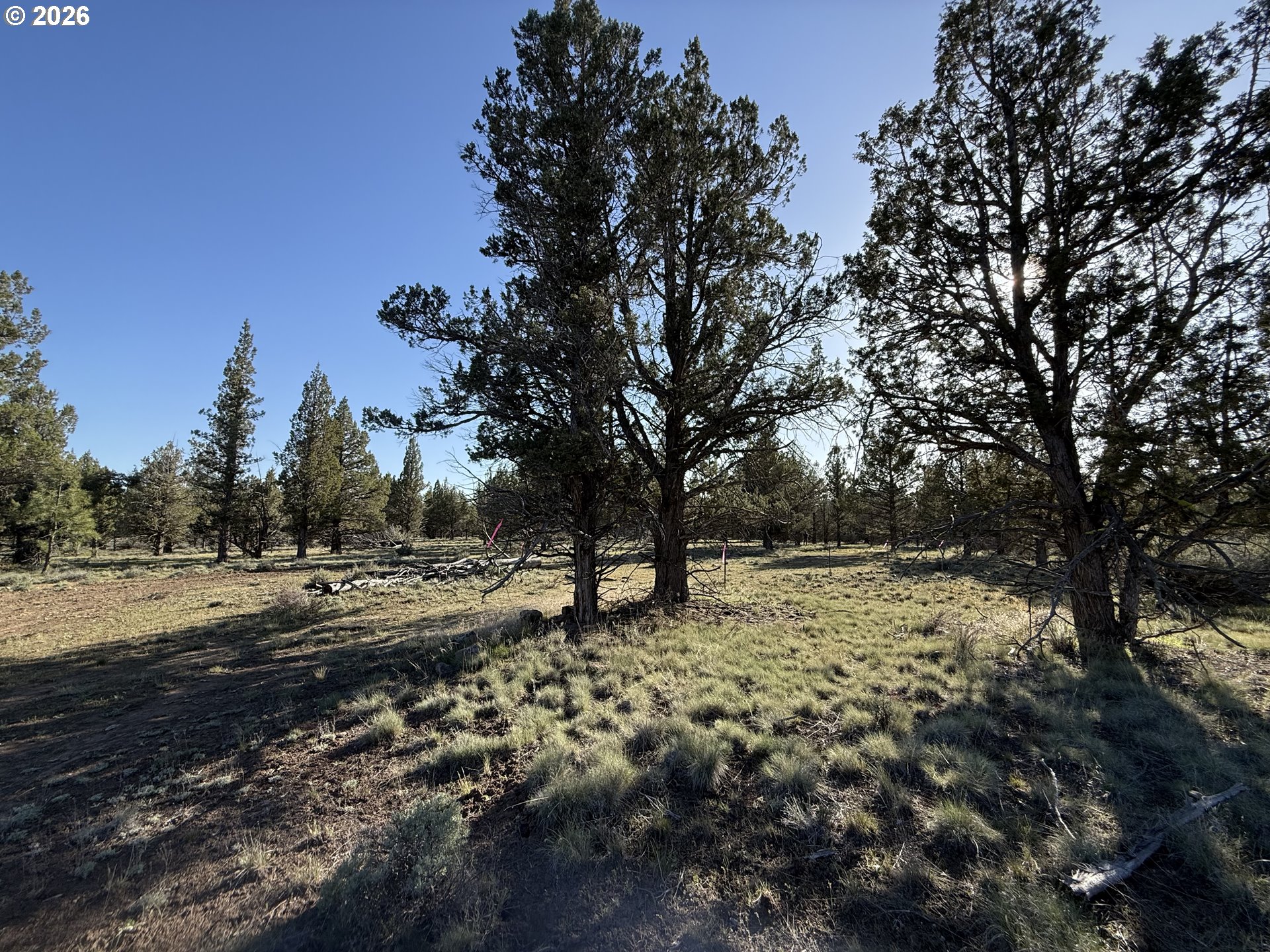 Picture for the property 366078381, 0 beds, 0 baths