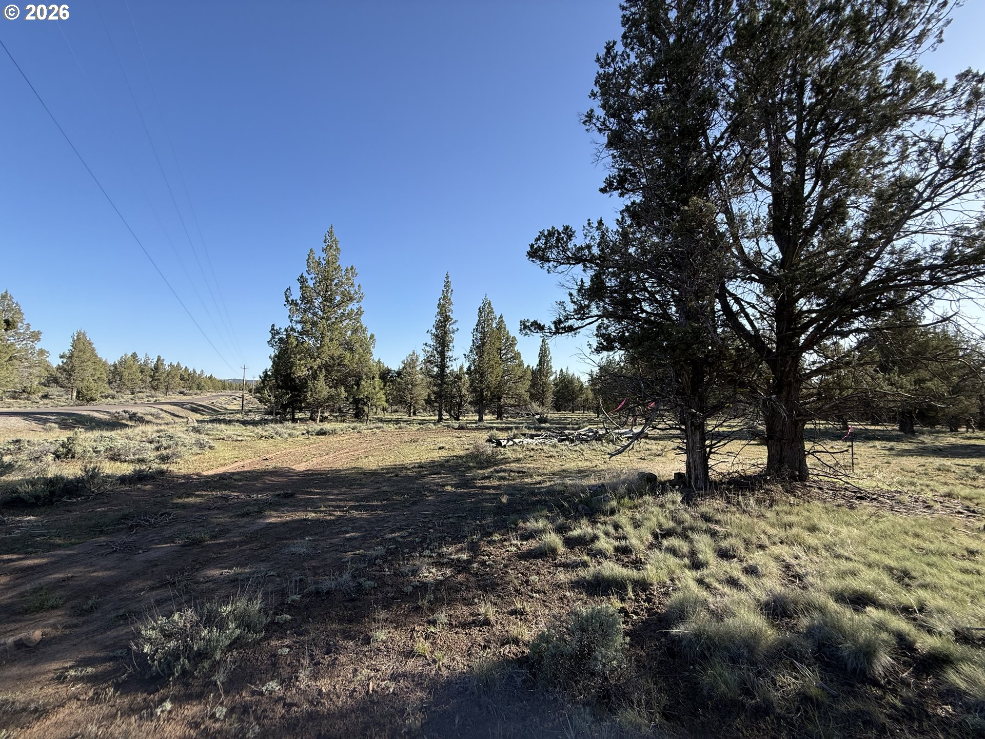 Picture for the property 366078381, 0 beds, 0 baths