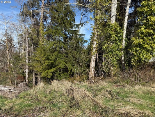 SPRUCE DR, SEASIDE, OR 97138 - Image 76e0629b2fc10580cfe50088e4d30f2d/1678717910