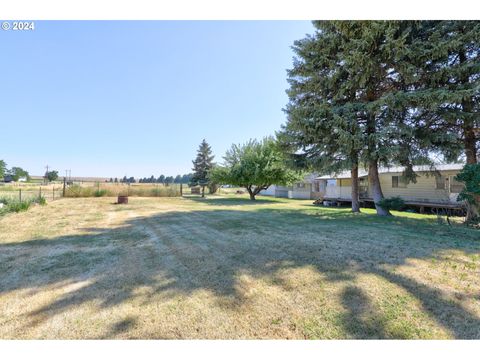 A home in Grass Valley