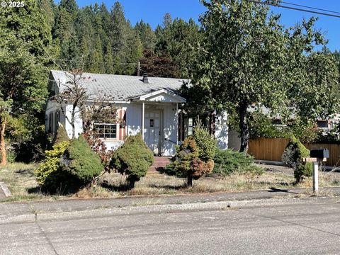 Photo of 48345 Commercial St, Oakridge, OR 97463 (MLS # 537232454)