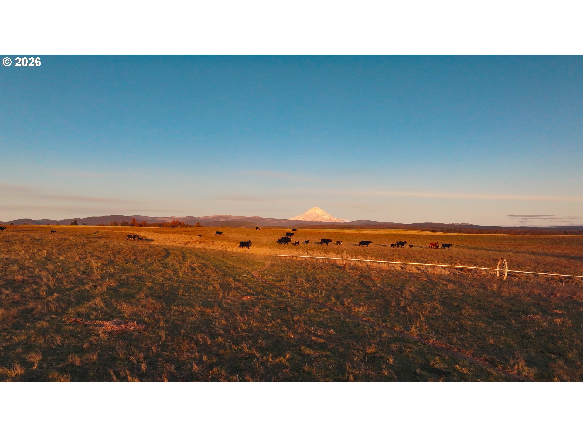 81127 RAIL HOLLOW RD