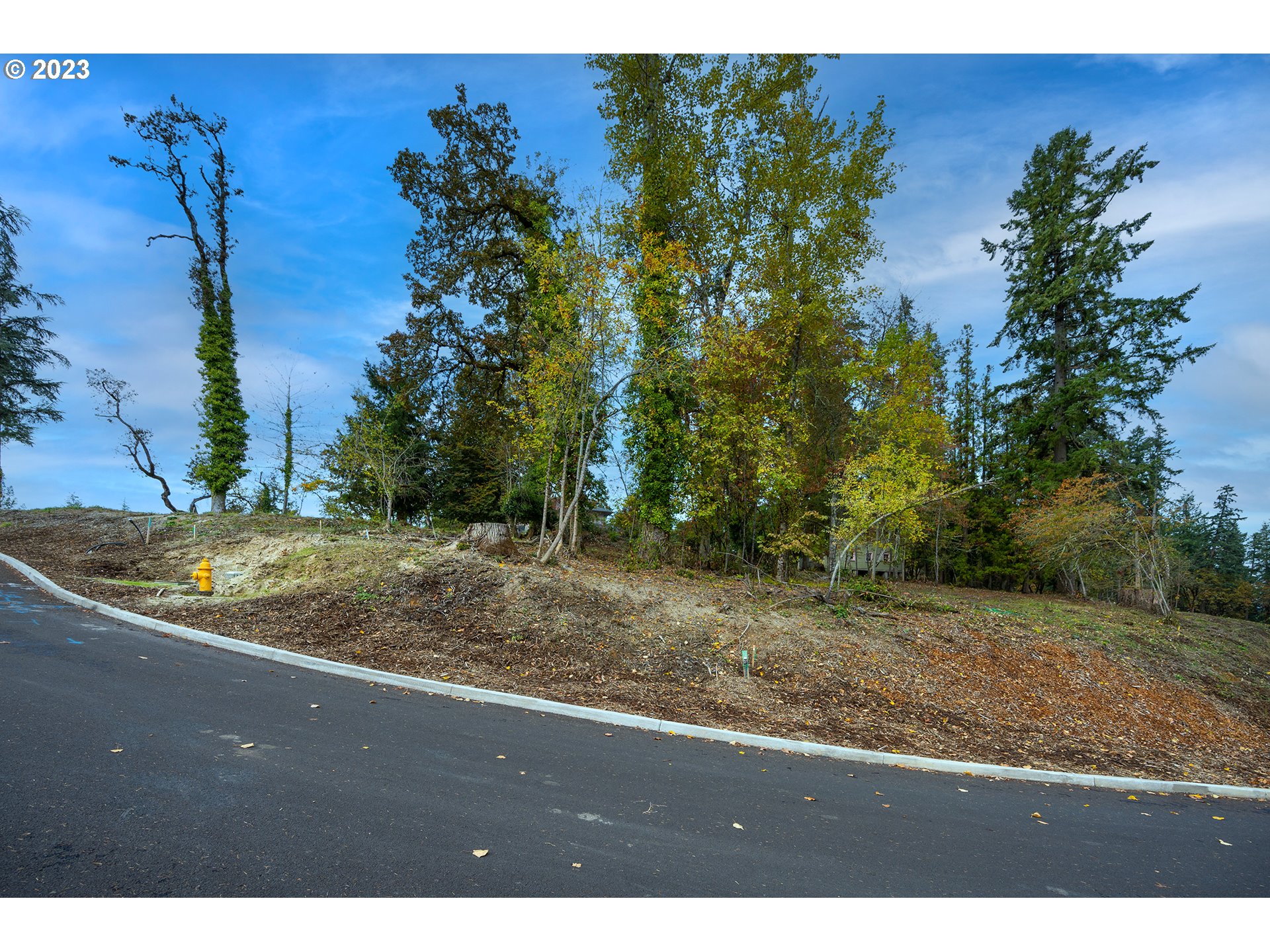 2662 Cupola DR 31