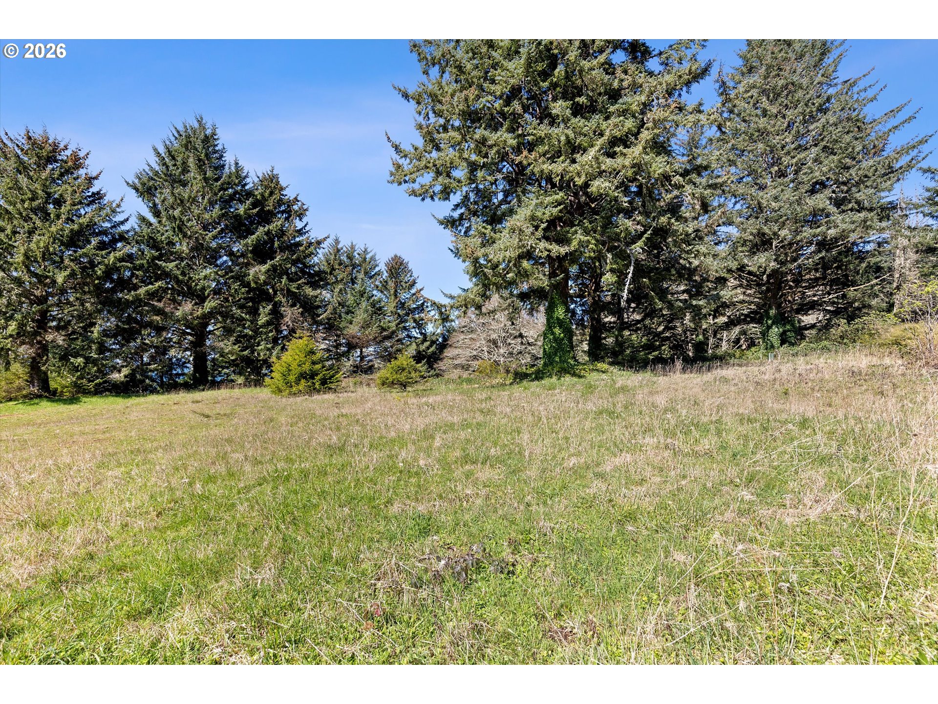 100 Cape Foulweather LN