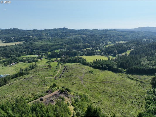 NE 206TH AVE, AMBOY, WA 98601 - Image 7acb62a9bc3f20cc91aff2ba15fb174d/2249868362