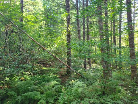 HESLEN RD Carson WA 98610