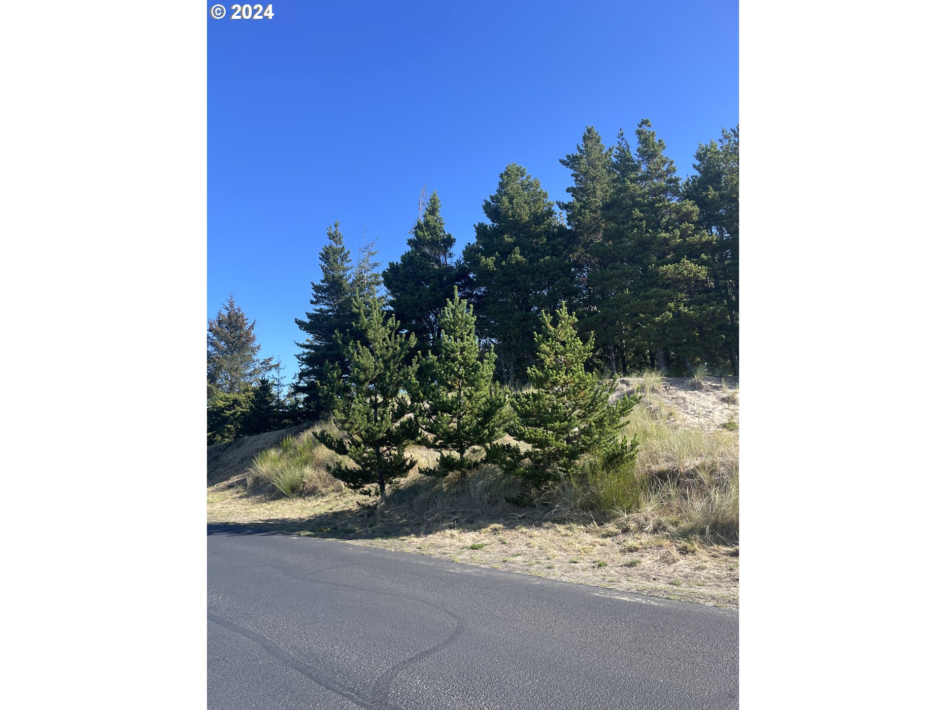 Manzanita, Oregon 97130, United States, ,Land,Active,123799