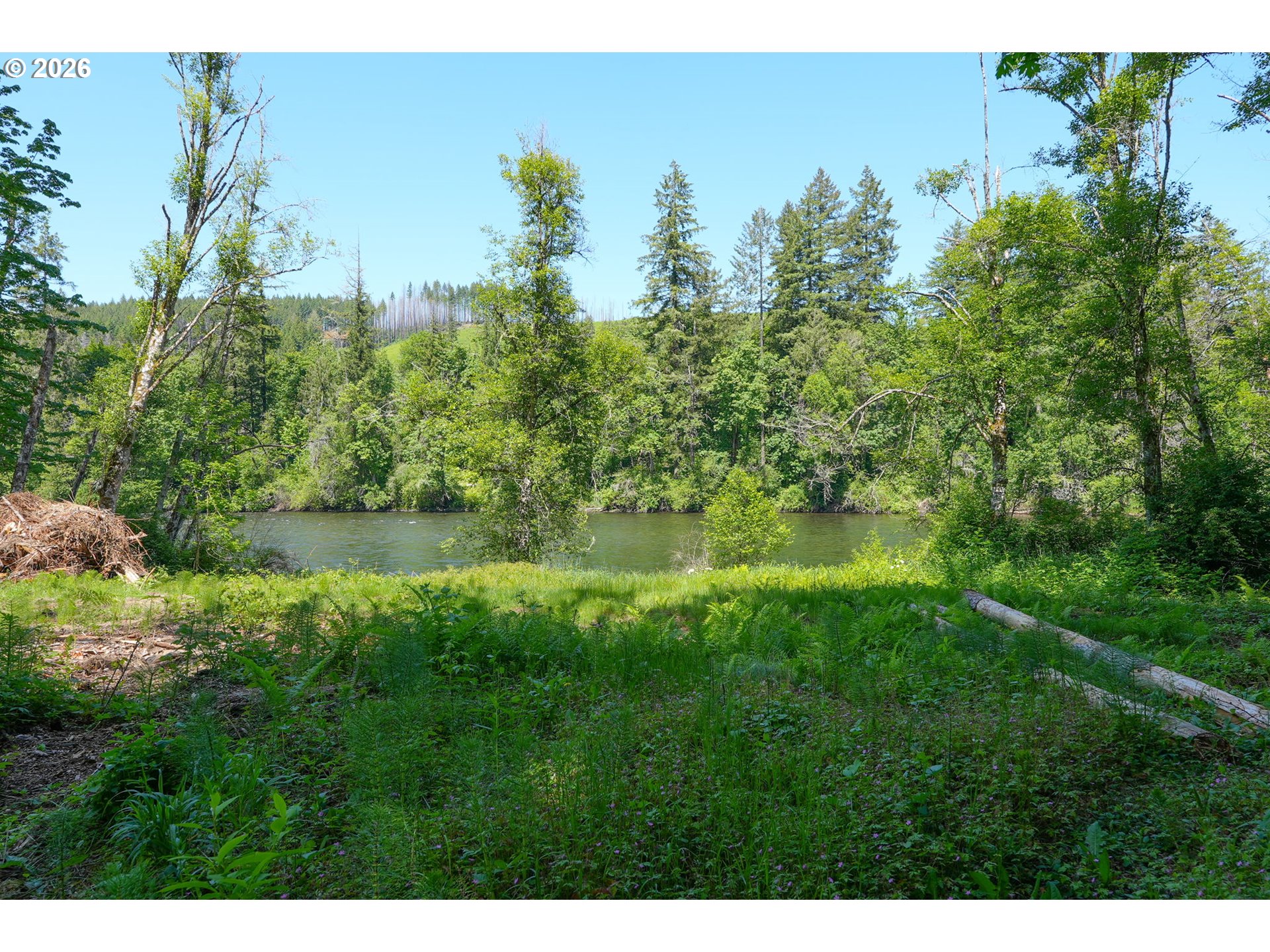 Goodpasture RD 01809