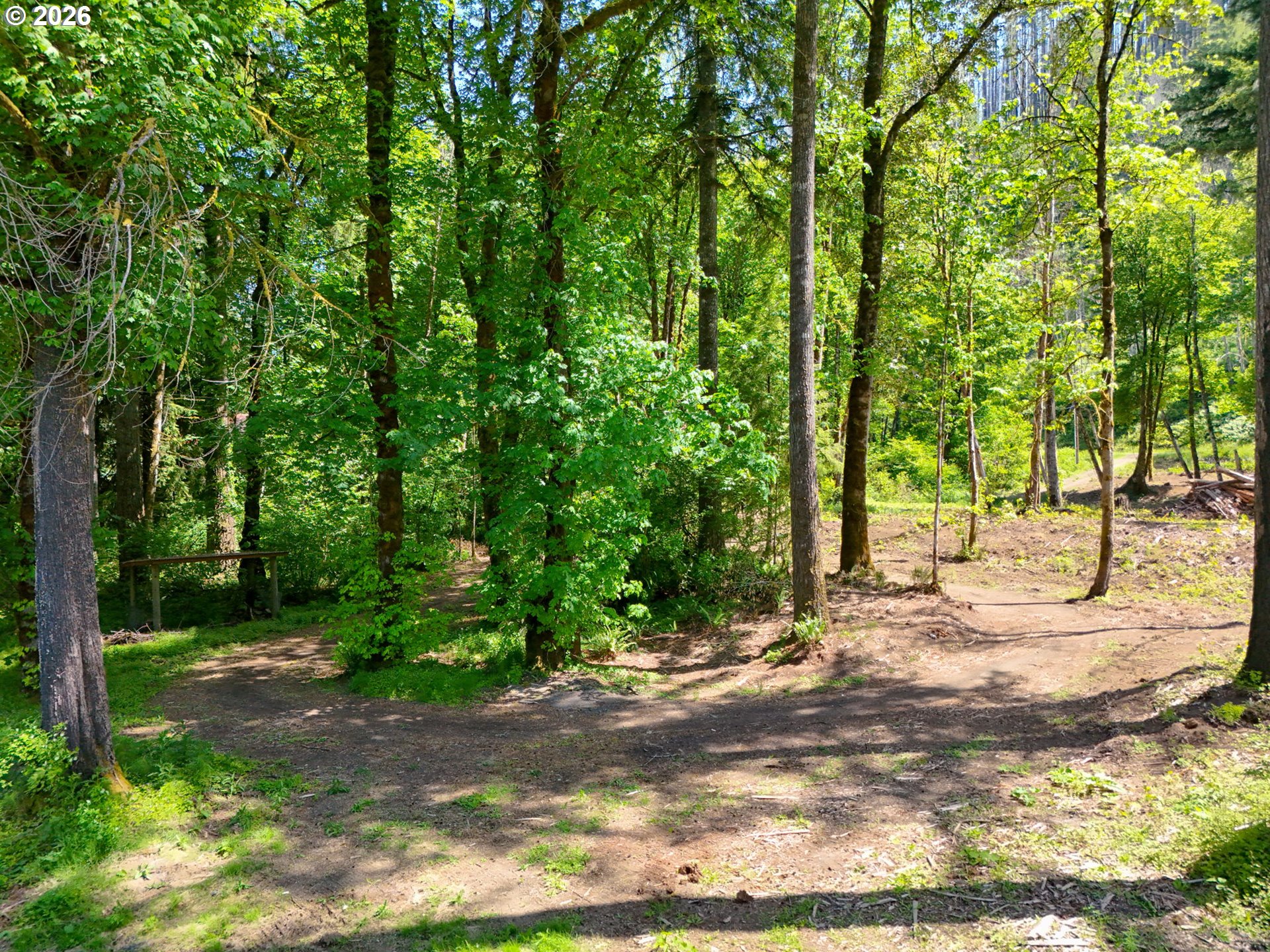 Goodpasture RD 01809