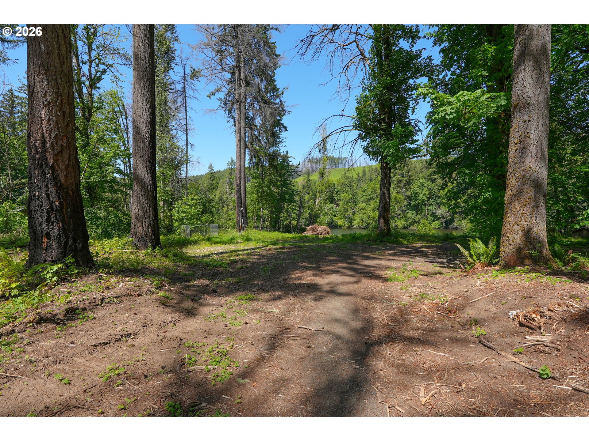 Goodpasture RD 01809