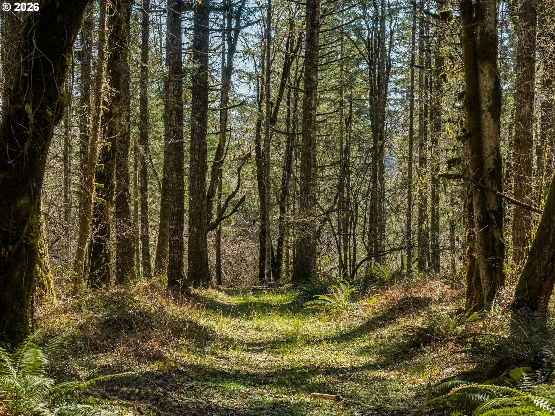 19037 NW MEADOW LAKE RD