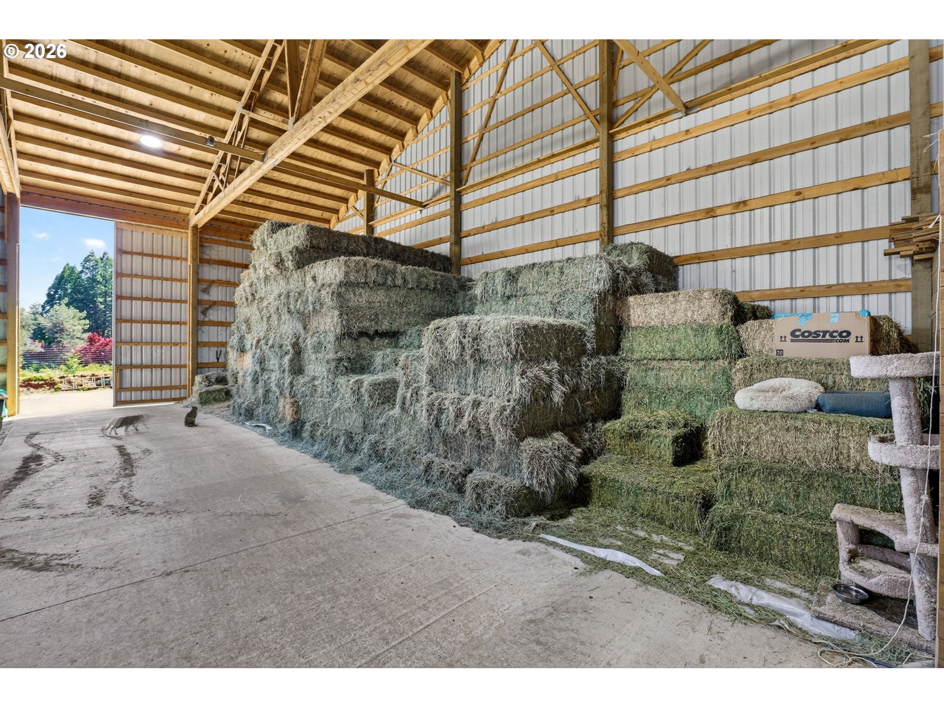 17623 S Windy City Rd, Mulino, OR, 97042, USA, 3 Bedrooms Bedrooms, ,2 BathroomsBathrooms,Residential,Active,17623 S Windy City Rd,302443349