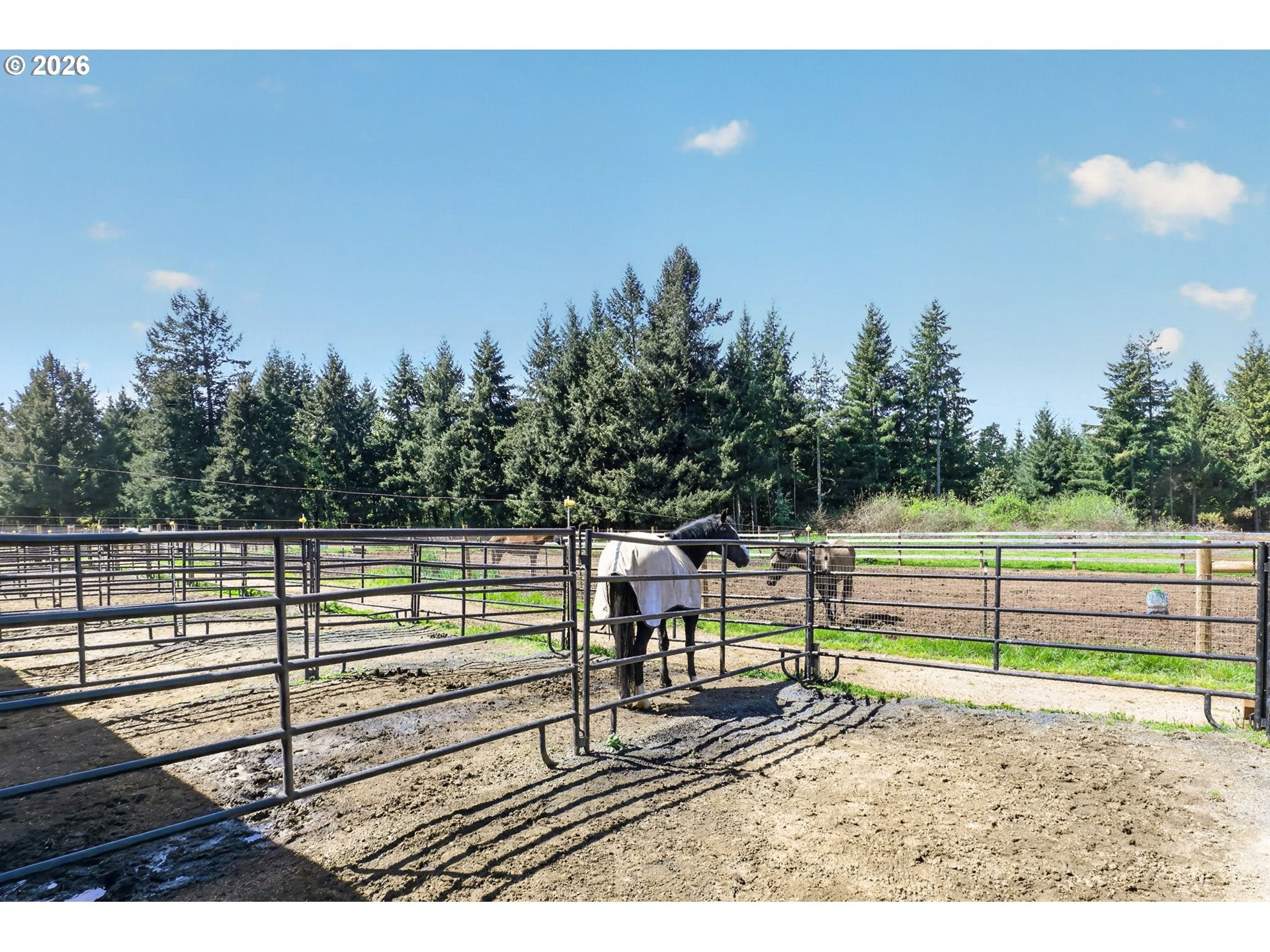 17623 S Windy City Rd, Mulino, OR, 97042, USA, 3 Bedrooms Bedrooms, ,2 BathroomsBathrooms,Residential,Active,17623 S Windy City Rd,302443349
