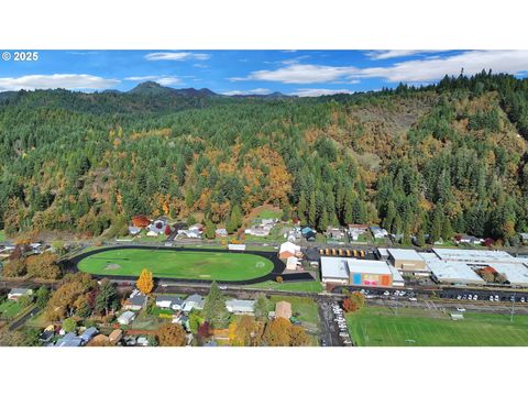 Tiny photo for 47960 W 1st St, Oakridge, OR 97463 (MLS # 547212599)