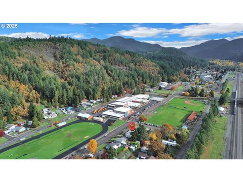 Tiny photo for 47960 W 1st St, Oakridge, OR 97463 (MLS # 547212599)