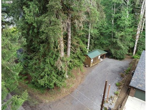Photo of 9857 Beach Dr, Birkenfeld, OR 97016 (MLS # 500348829)