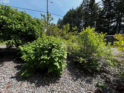 Tiny photo for 47947 Commercial St, Oakridge, OR 97463 (MLS # 729308446)