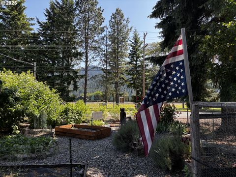 Tiny photo for 47947 Commercial St, Oakridge, OR 97463 (MLS # 729308446)