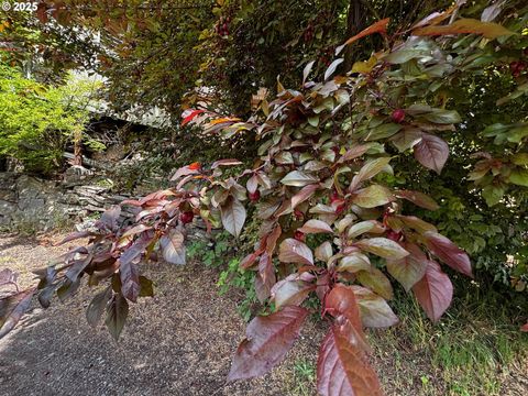 Tiny photo for 47947 Commercial St, Oakridge, OR 97463 (MLS # 729308446)