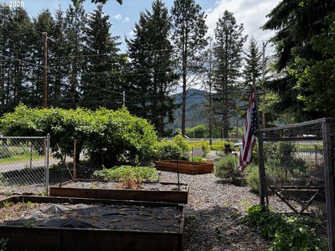 Tiny photo for 47947 Commercial St, Oakridge, OR 97463 (MLS # 729308446)