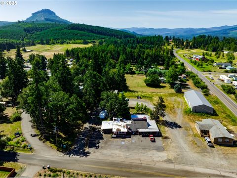 Tiny photo for 39128 Dexter Rd, Dexter, OR 97431 (MLS # 394503310)