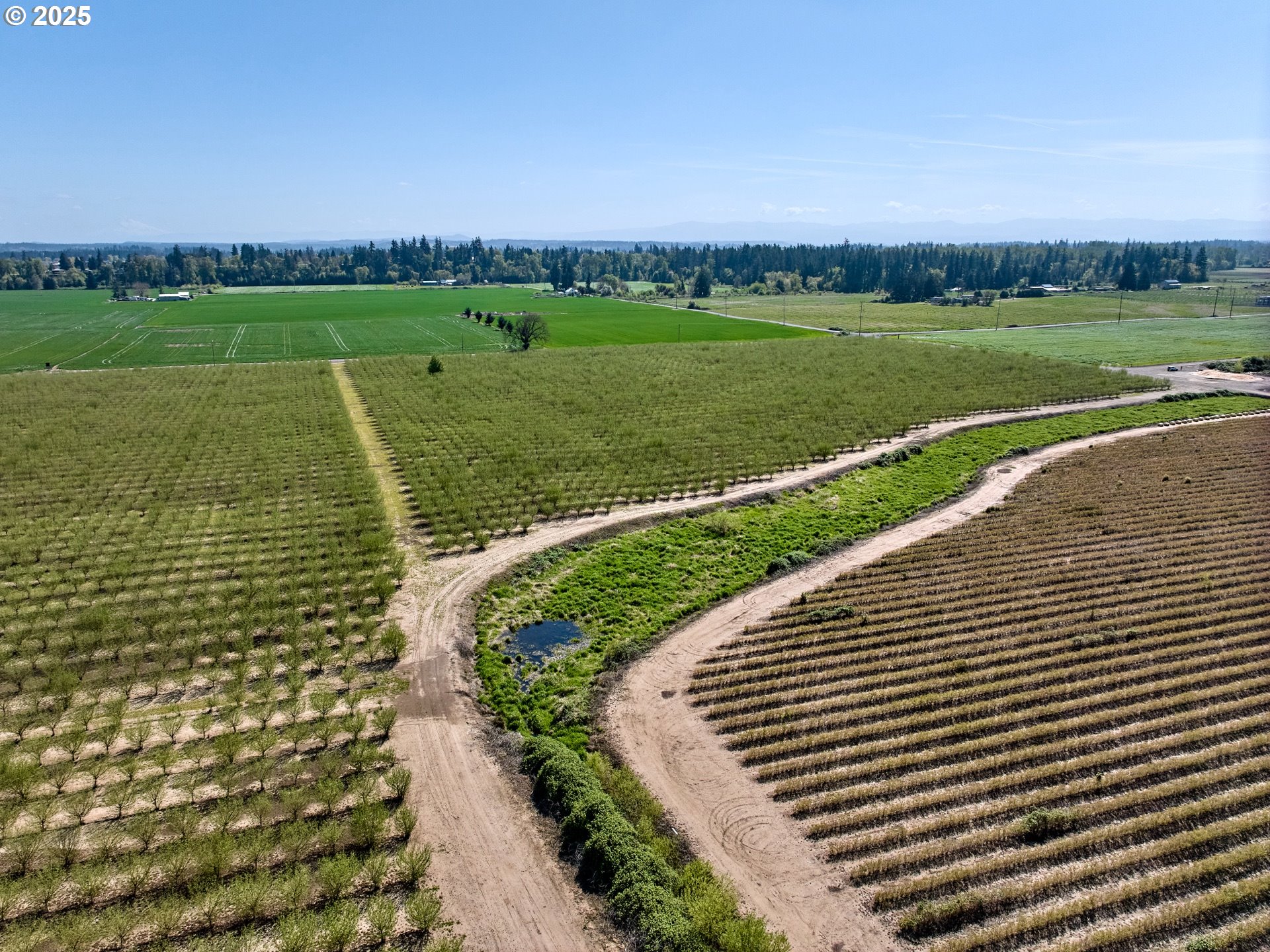 Canby, Oregon 97013, United States, ,Residential,Active,115019