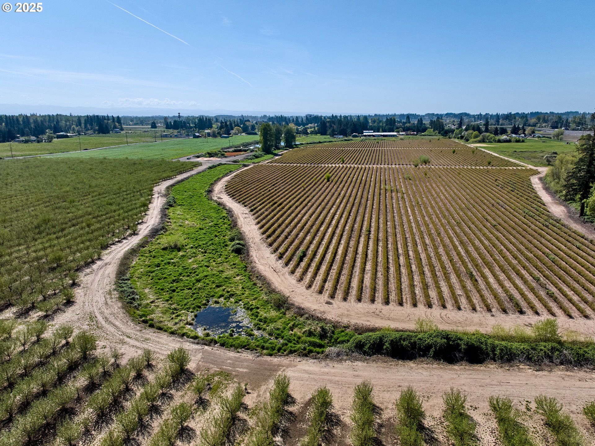 Canby, Oregon 97013, United States, ,Residential,Active,115019